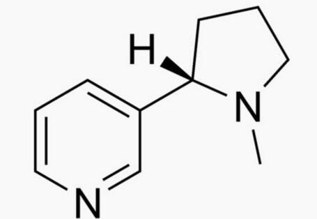 化學成分分析